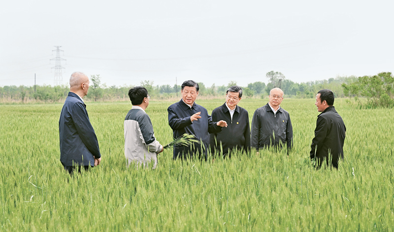 2023年5月11日至12日，中共中央總書記、國家主席、中央軍委主席習(xí)近平在河北考察，并主持召開深入推進(jìn)京津冀協(xié)同發(fā)展座談會。這是11日上午，習(xí)近平在滄州市黃驊市舊城鎮(zhèn)仙莊片區(qū)旱堿地麥田考察時，同種植戶、農(nóng)技專家親切交流。 新華社記者 李學(xué)仁/攝